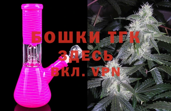 гидропоника Алзамай