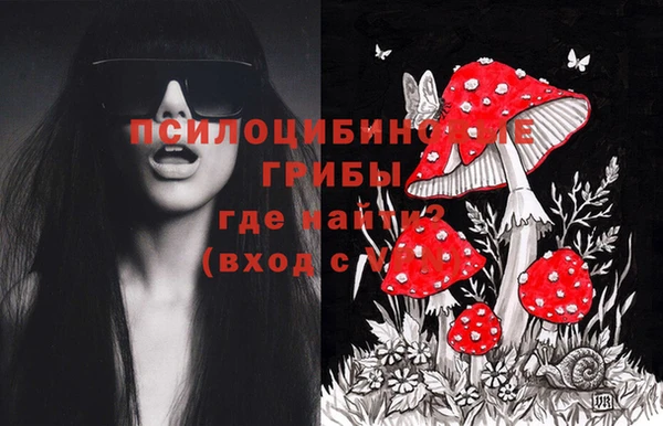 индика Алексеевка