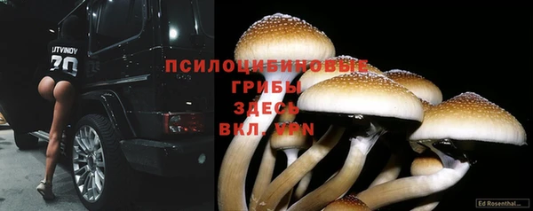 гидропоника Алзамай