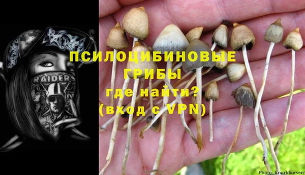 МДМА Алексин