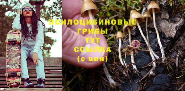 гидропоника Алзамай