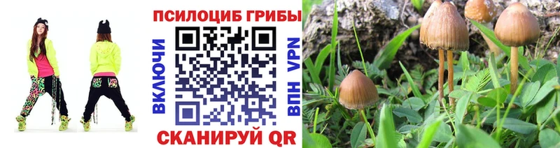 как найти   Октябрьск  Галлюциногенные грибы MAGIC MUSHROOMS 
